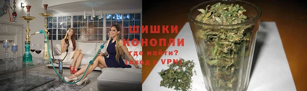 наркотики Новозыбков