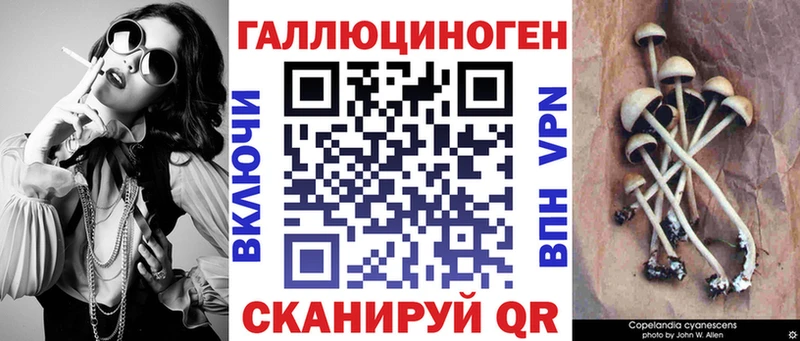 Галлюциногенные грибы Cubensis hydra tor Новое Девяткино купить закладку